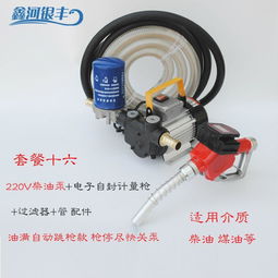 電動抽油泵12v24v220v汽油柴油加油泵車載防爆輸油泵手提式抽油機,一品好特惠