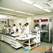 半干面包糠招商加盟與批發采購全攻略 價格、報價與食品經營要點解析